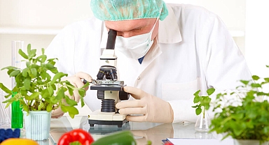 Gıda Mühendisi Nasıl Olunur ve Maaşları Ne Kadardır?