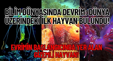 Bilim Dünyasında Devrim: Dünya Üzerindeki İlk Hayvan Bulundu!