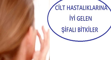 CİLT HASTALIKLARINA İYİ GELEN ŞİFALI BİTKİLER