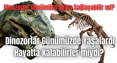 Dinozorlar Günümüzde Yaşalardı Hayatta Kalabilirler miydi? Bilim Adamları Ne Diyor? 