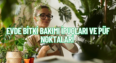 Evde Bitki Bakımının Püf Noktaları