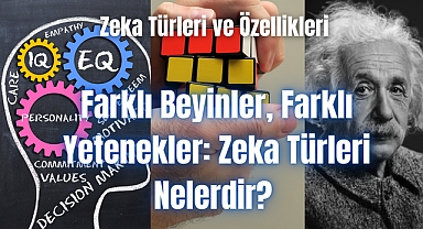 Farklı Beyinler, Farklı Yetenekler: Zeka Türleri Nelerdir? 
