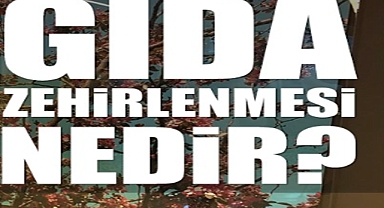 GIDA ZEHİRLENMESİ NEDİR? NASIL OLUR?