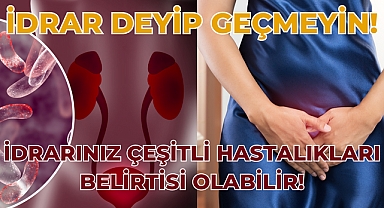 İdrar Renkleri Hastalıkları Yansıtıyor Olabilir! 
