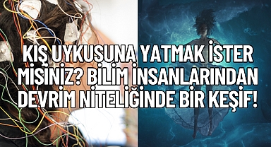Kış Uykusuna Yatmak İster Misiniz? Bilim İnsanlarından Devrim Niteliğinde Bir Keşif!