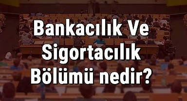 Meslek Tanıtım - Bankacılık ve Sigortacılık