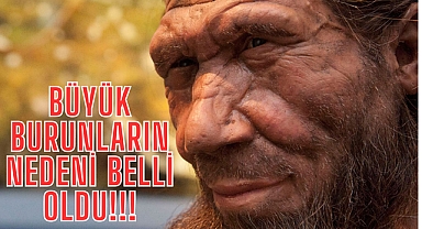 Neandertallerin Kalıtsal Mirası: Büyük Burunlar! 