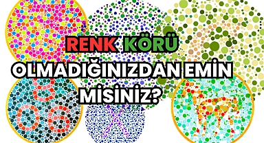 Renk Körü Olmadığınızdan Emin misiniz? 