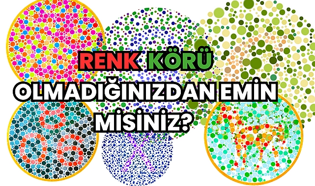 Renk Körü Olmadığınızdan Emin misiniz?