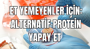 Yapay Et: Geleceğin Gıda Kaynağı