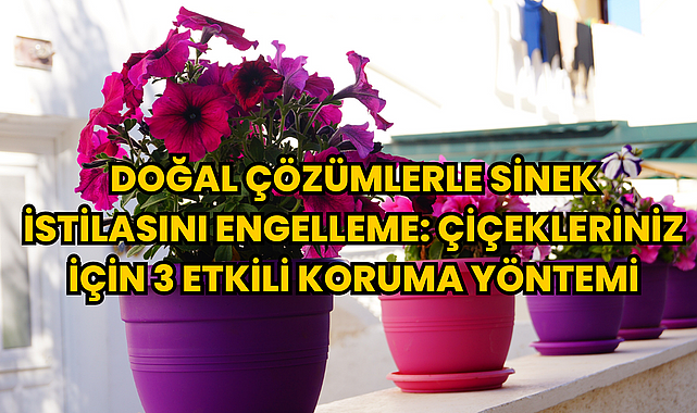 Doğal Çözümlerle Sinek İstilasını Engelleme: Çiçekleriniz İçin 3 Etkili Koruma Yöntemi