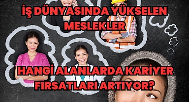İş Dünyasında Yükselen Meslekler: Hangi Alanlarda Kariyer Fırsatları Artıyor?