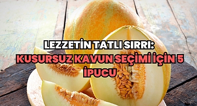 Lezzetin Tatlı Sırrı: Kusursuz Kavun Seçimi İçin 5 İpucu