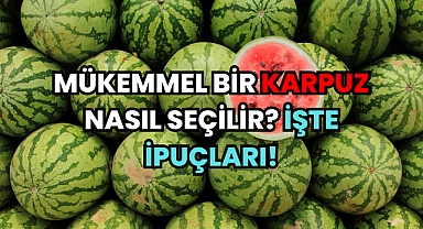 Mükemmel Bir Karpuz Nasıl Seçilir? İşte İpuçları!