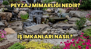 Peyzaj Mimarlığı Nedir? İş İmkanları Nasıl? 
