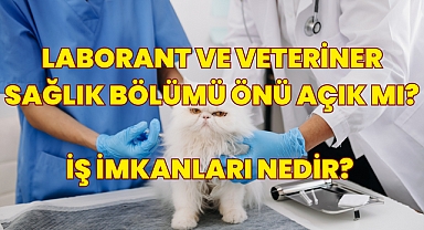 Laborant ve Veteriner Sağlık Bölümü Nedir? Önü Açık mı? İş İmkanları Nedir? 