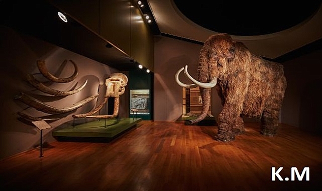 Midwest National Park: A Journey Through Time with Mammoths and Saber-Tooth Tigers