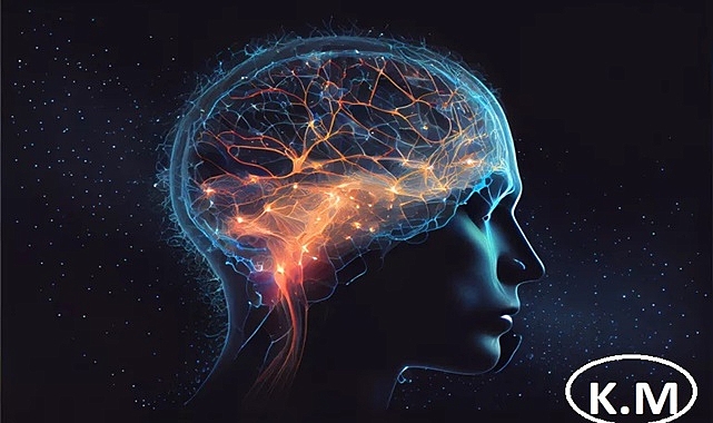 The Role of the Brain on the Path to Happiness: The Relationship between Brain Plasticity and Happiness