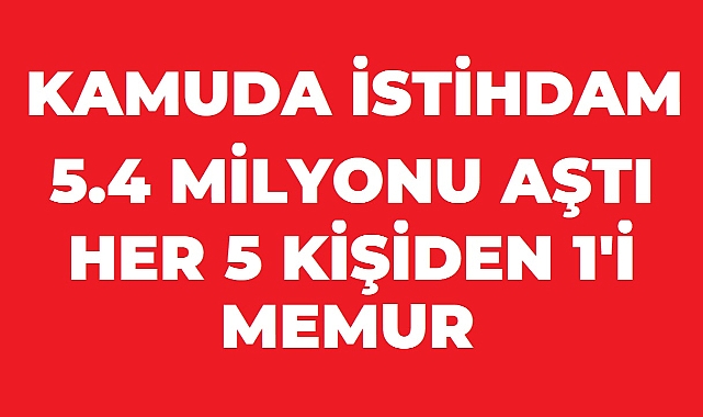 Kamuda İstihdam 5,4 Milyonu Aştı: Kamu Çalışanlarının Sayısı Beş Yılda 550 Bin Arttı