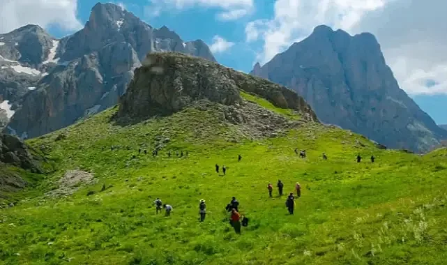 Sohmarik Yaylası Sosyal Medyada Gündem Oldu! Erzincan’ın Saklı Cennetine Akın Ediyorlar
