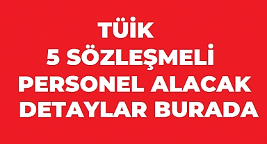 TÜİK 5 Sözleşmeli Bilişim Personeli Alacak: Başvurular Başladı
