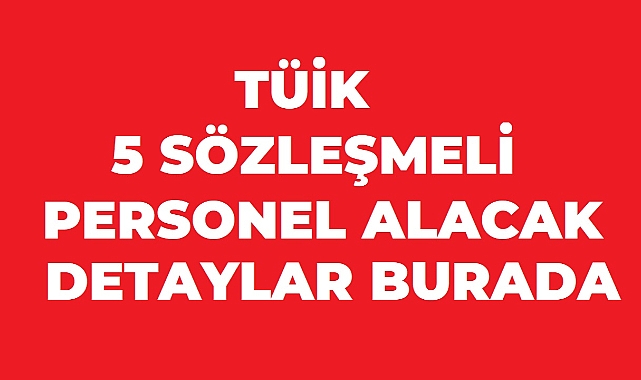 TÜİK 5 Sözleşmeli Bilişim Personeli Alacak: Başvurular Başladı