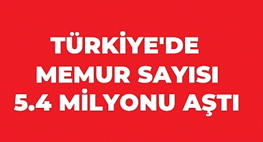 Türkiye’de Kamu Personeli Sayısı 5,4 Milyonu Aştı: Rakamlar Sosyal Medyada Gündem Oldu