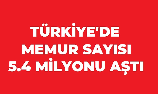 Türkiye’de Kamu Personeli Sayısı 5,4 Milyonu Aştı: Rakamlar Sosyal Medyada Gündem Oldu