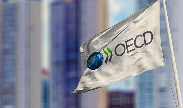 OECD Eğitim Raporu Açıklandı: Türkiye Birçok Göstergede OECD Ortalamasını Geride Bıraktı