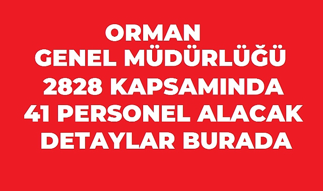 OGM 41 Personel Alımı Yapacak: Ön Lisans ve Lisans Mezunlarına Yeni Kadrolar